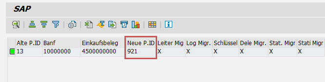 beschriftung_sap_report_process_id_ergebnis.jpg