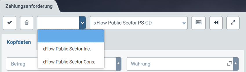 web_zahlungsanforderung_buchungskreis.png